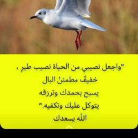 ابو فهد (@llooom511) 's Twitter Profile Photo ابو فهد (@llooom511) 's Twitter Profile Photo