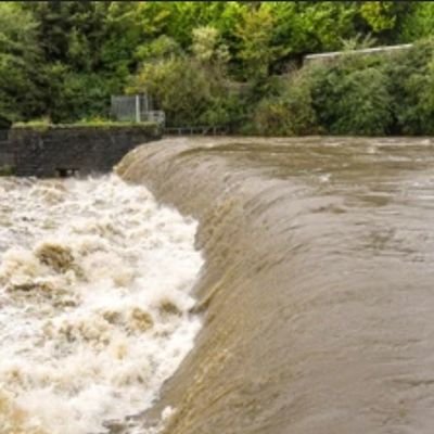 MuddyH2Oz's profile picture. NW Ohio's Truth Teller