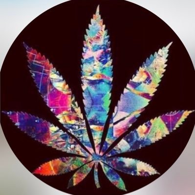 If you got here, you must be really baked too @StonerPicture @StonerImage @StonerVid *Parody account* Nothing is for sale! https://t.co/Or2E4yHOgG https://t.co/99SDRDFKlM