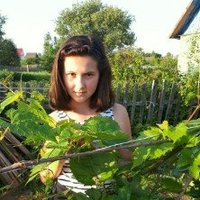 GraceWilliams (@gracewilli22581) 's Twitter Profile