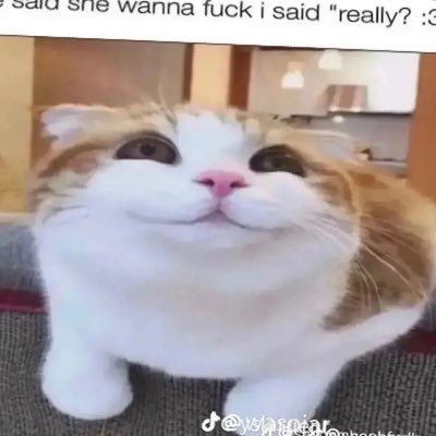 Noc_turban's profile picture. 