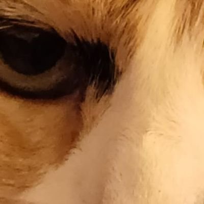 Sandrin31405958's profile picture. 