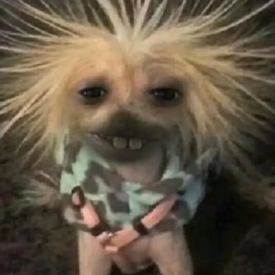 Cartelhous's profile picture. 