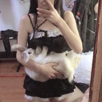 Lee425785556118's profile picture. 