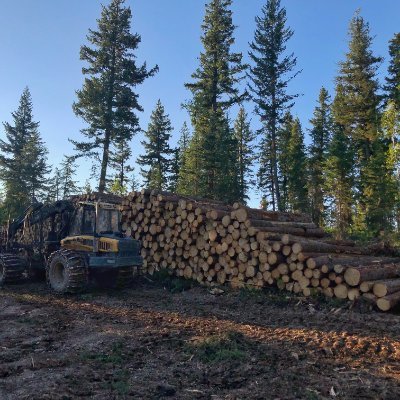 Freya Logging Inc is Western Canada's largest selective logger and owned by immigrant  women.  Good change is upon us.