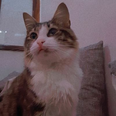 OmzMarwah's profile picture. 
