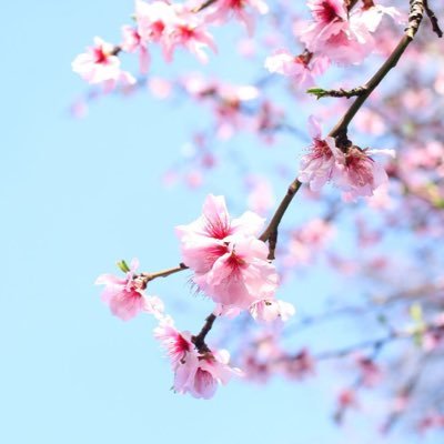 The Misokatuさんのプロフィール画像
