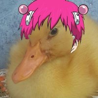 glug (@miyavah) 's Twitter Profile Photo glug (@miyavah) 's Twitter Profile Photo