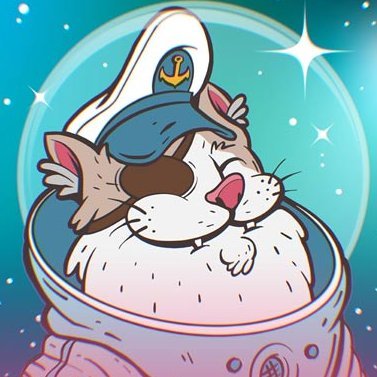 Meowlaxy27's profile picture. 