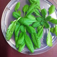 Dominik Klauser (@dominikklauser) Twitter profile photo