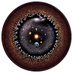 Azad Djan (@azaddjan) Twitter profile photo Azad Djan (@azaddjan) Twitter profile photo