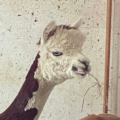 محتوای طنز! این صفحه از انتشار توهینهای رکیک جنسیتی،جنسی و نژادپرستانه خودداری میکند،در عوض تمسخر هرگونه افکار و عقاید آزاد میباشد!