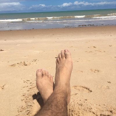 icaro_hunter1's profile picture. Normalmente só uso essa plataforma durante 3 meses no ano, que é para falar de BBB ou de 4 em 4 anos, em outubro.. o resto vcs ja sabem