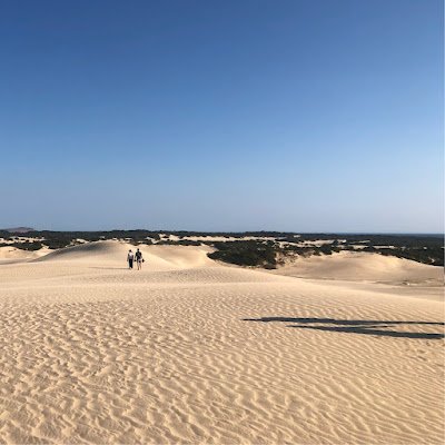 dackjavies95's profile picture. 