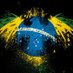 Brasileiro acima de tudo! 🇧🇷🇧🇷🇧🇷 (@brasileiro71964) Twitter profile photo