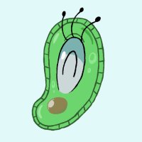 微生物 (@parameciumkun) 's Twitter Profile Photo