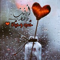 🤍أبها🤍 (@halema2020) 's Twitter Profile
