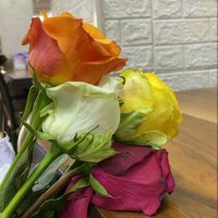 Biswajit Adhikari (@biswajitad86534) 's Twitter Profile