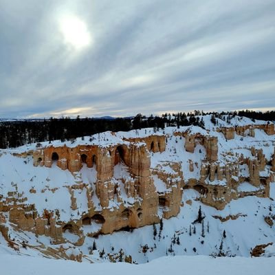 deanne_farris's profile picture. 