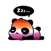 The Sleepy But Woke Panda ➵