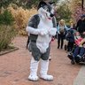 MactheHusky's profile picture. A super soft & cuddly husky! loves geeky stuff, sports & outdoor stuff! 
single dog looking for pets!
Suit by @saberdani
Next con Anthro New England!