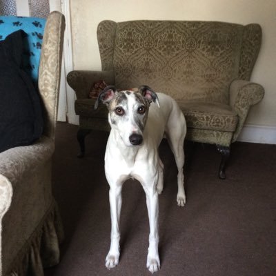 paddypix's profile picture. Merseyside.