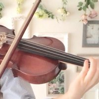 みーる@🎻お休み (@miru_vn) 's Twitter Profile