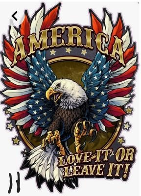 chasingainz's profile picture. Proud American, professional troll and feeling hurter, if you're in my bio that means I must have pissed you off🤣