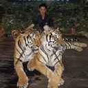 Alex Lee Buck Tee - @alexlee7188 - Twitter