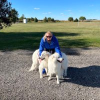 Pamela Wickenhauser (@pamw369) 's Twitter Profile
