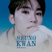 Seungkwan Brasil 🍊 | Vagas abertas (@seungkwan_br) 's Twitter Profile