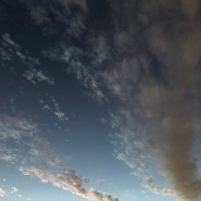 Lav4Boba's profile picture. 25. A-spec just hanging out for ze art & ze tea.