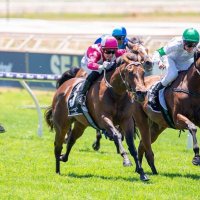 taj dyson (@dysontaj) 's Twitter Profile