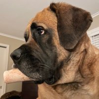 Colleen Munson (@munsoncolleen1) 's Twitter Profile Photo