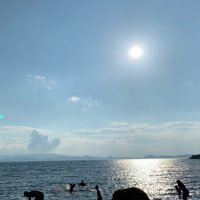 ダイ (@srfsdw) 's Twitter Profile