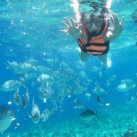 Conde Batac_RMN (@condzbatac) 's Twitter Profile Photo