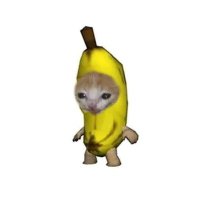 ʍɛʀƈʊʀʏ (@wub_mercury) 's Twitter Profile