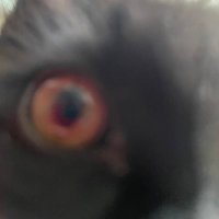 Jack Cooper (@larrybriggs12) 's Twitter Profile