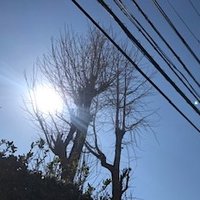 ありいさ (@alyssaagt) 's Twitter Profile Photo