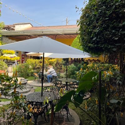 Meli261988's profile picture. 