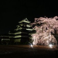 信州での暮らしは毎日が観光気分(⋈◍＞◡＜◍)。 (@aurora_dawn_bk) 's Twitter Profile Photo
