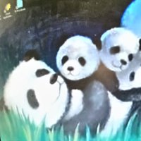 skb (@gusbus53) 's Twitter Profile