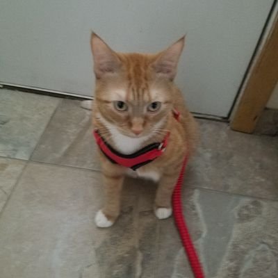 RunIt90's profile picture. 