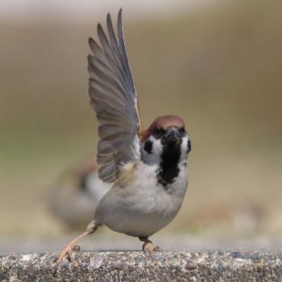 Nexttry128Nyg's profile picture. 