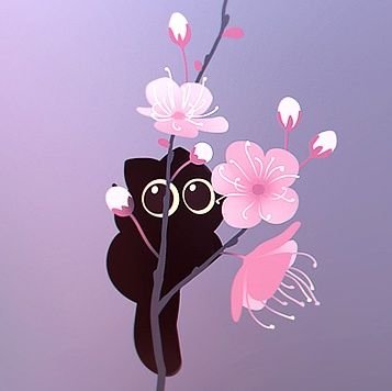 tumblr: lillybelle05 / Deviantart: queenshocker / threads: lesles_anne