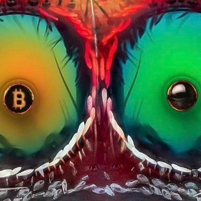 mayer_piet78813's profile picture. Business opportunities are like buses