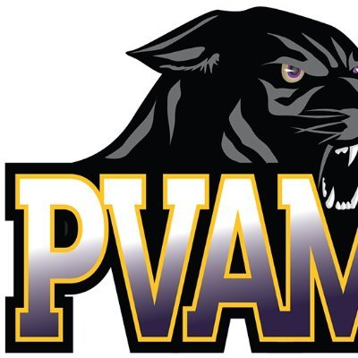 I am a PVAMU alumnus and employee. The campus is evolving and the student body is growing and diversifying. Everyday PVAMU offers me something new.