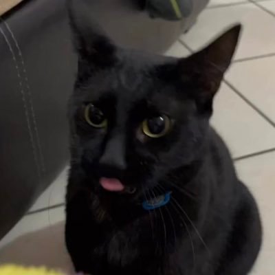 AdherDarth's profile picture. 👁️‍🗨️