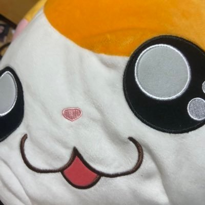えりんぎさんのプロフィール画像