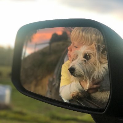 Housty_Richard's profile picture. Tasman based, recuritment, education and everything to do with farm milk sales.